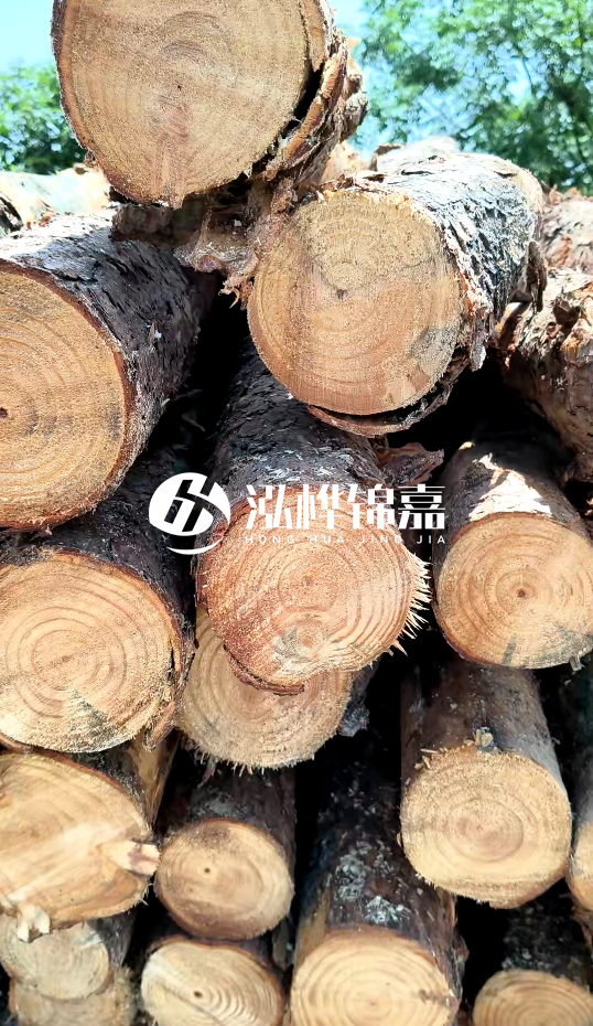周口挖機打木樁專業(yè)施工-杉木樁施工打樁怎么打？