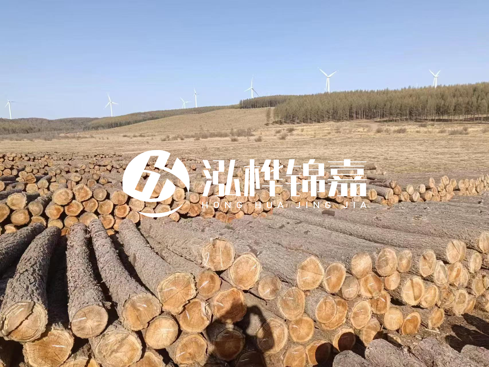 咸寧松木樁源頭廠家-哪里能買到質量好的松木樁打樁木？