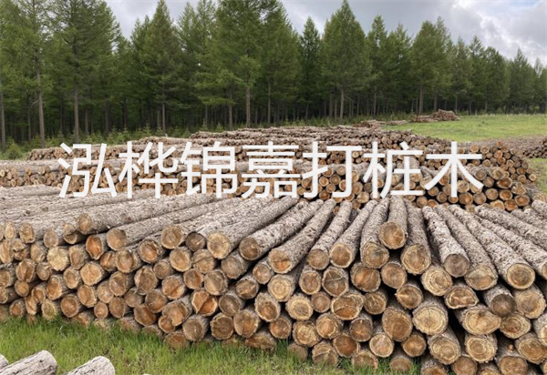 松木樁能施工嗎？探究視頻揭秘真相！