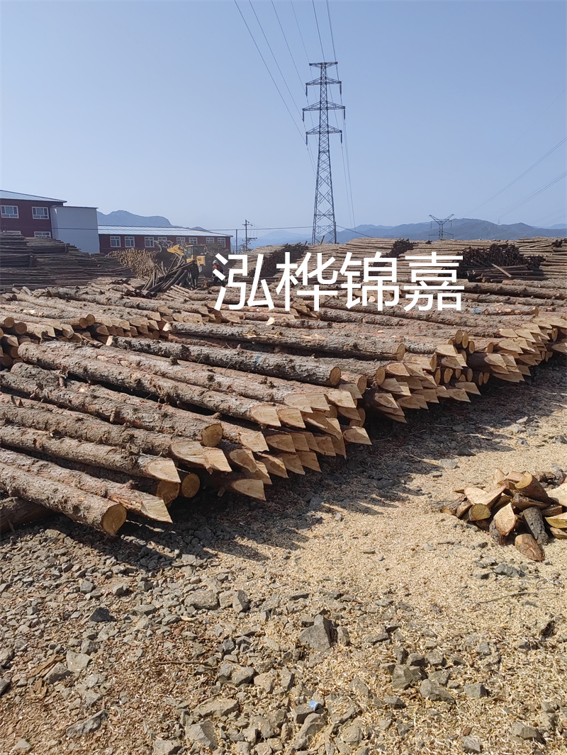 深入了解松木樁基礎施工單價，助力工程建設順利進行！