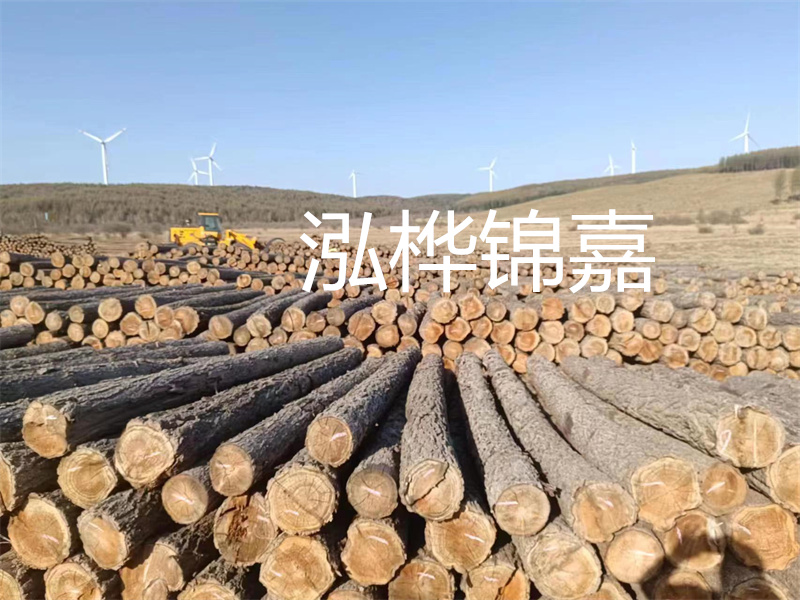 溫州松木樁施工廠家——為您打造堅(jiān)固穩(wěn)定的建筑基礎(chǔ)！