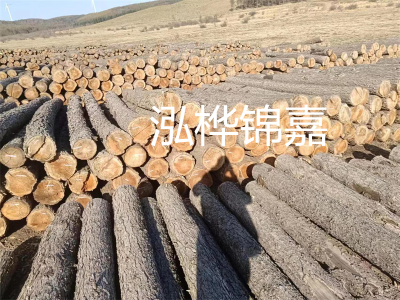 選擇合適的路緣石尺寸，打造美麗道路