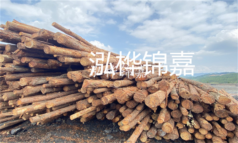 濮陽松木樁，卓越品質(zhì)，安全可靠