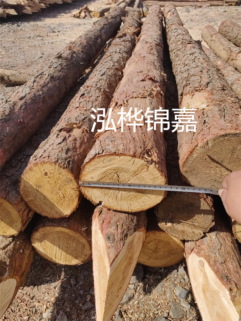 福建哪里買松木樁？
