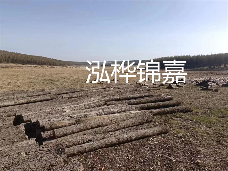 鄂州松木樁哪里好？推薦泓樺錦嘉松木樁業(yè)！